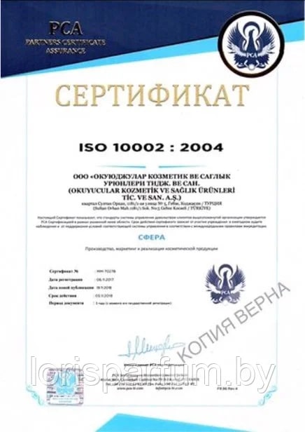 ISO 10002