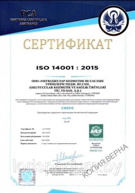 ISO 14001